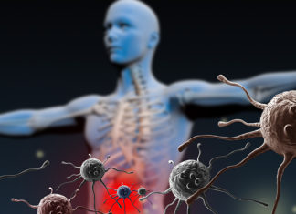 Immunological Memory in the Brain