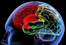 Indications of Psychosis Appear in Cortical Folding