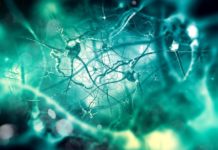 Lipid Accumulation in Brain May Be an Early Sign of Parkinson’s