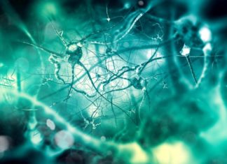 Lipid Accumulation in Brain May Be an Early Sign of Parkinson’s