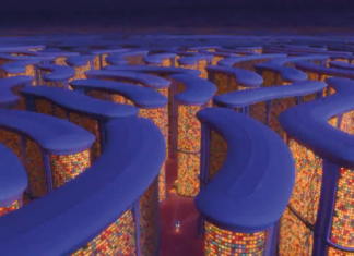Long-Lasting Brain Proteins Offer Clues to How Memories Last a Lifetime