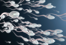 Male contraceptive compound stops sperm without affecting hormones