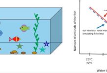 New link between sleep arousals and body temperature may also be connected to SIDS