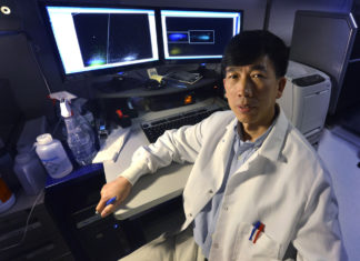 New receptor genes turn T-cells into powerful liver cancer foes