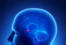Researchers Identify Area of the Amygdala Involved in Taste Aversion