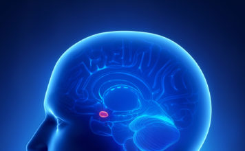 Researchers Identify Area of the Amygdala Involved in Taste Aversion
