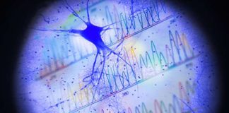 Researchers report neurons record their activity in gene expression, and the activity record can be reconstructed by analyzing gene expression patterns