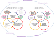 Schizophrenia and Autism Share Common Traits