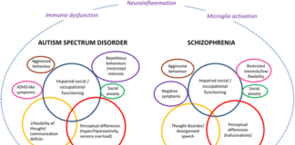 Schizophrenia and Autism Share Common Traits