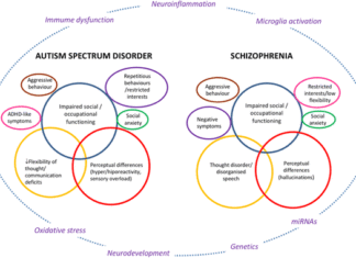 Schizophrenia and Autism Share Common Traits