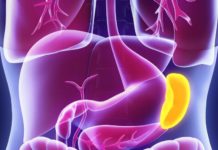 Spleen: How it works, where it is and problems