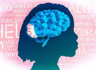 Study Challenges Key Evidence for the Pro-Active Reading Brain