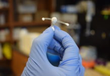 Team develops new way to fight HIV transmission