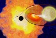Tens of thousands of black holes may exist in Milky Way’s center