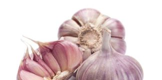 The complicated biology of garlic