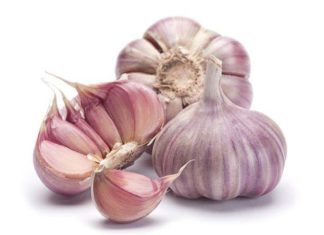 The complicated biology of garlic