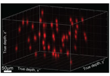 Using optogenetics and holographic projection, scientists aim to implant perceptions in brain