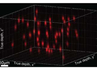 Using optogenetics and holographic projection, scientists aim to implant perceptions in brain