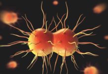 With ‘super gonorrhea’ a threat, many still getting wrong antibiotics