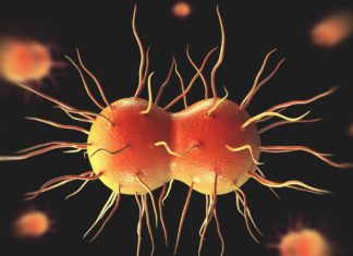 With ‘super gonorrhea’ a threat, many still getting wrong antibiotics