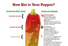 Man Develops Severe ‘Thunderclap’ Headaches After Eating World’s Hottest Chili Pepper