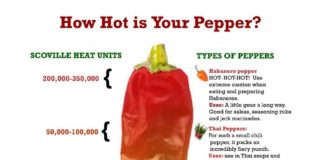 Man Develops Severe ‘Thunderclap’ Headaches After Eating World’s Hottest Chili Pepper