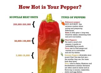 Man Develops Severe ‘Thunderclap’ Headaches After Eating World’s Hottest Chili Pepper