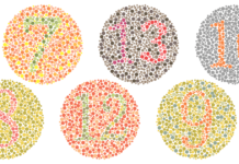 Increasing Understanding of the Coarse-to-Fine Human Visual Perception