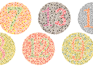Increasing Understanding of the Coarse-to-Fine Human Visual Perception