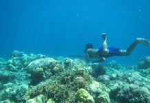 Natural selection gave a freediving people in Southeast Asia bigger spleens