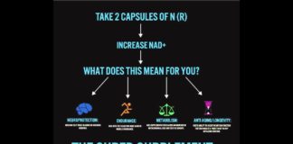 Dietary supplement shows promise for reversing cardiovascular aging