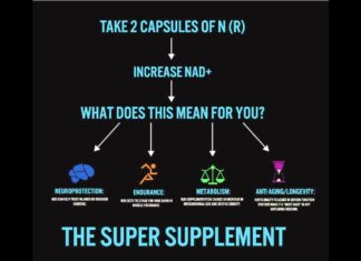 Dietary supplement shows promise for reversing cardiovascular aging