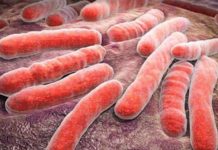 New blood test found to predict onset of TB up to two years in advance