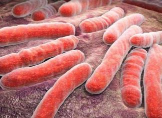 New blood test found to predict onset of TB up to two years in advance