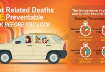 A closed car under direct sunlight can kill in one hour