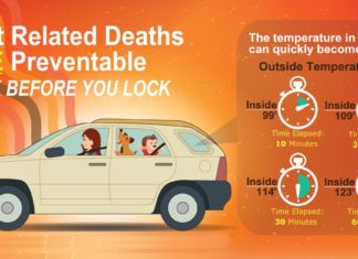 A closed car under direct sunlight can kill in one hour