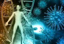 A high-fiber diet protects mice against the flu virus