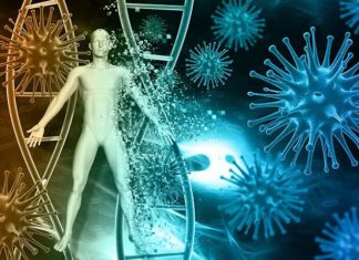A high-fiber diet protects mice against the flu virus
