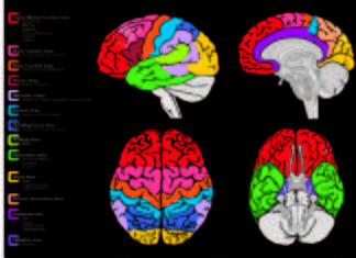 A neuroimaging study reveals brain areas not commonly associated with science learning become active when people complete physics problems