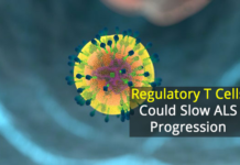 A new immunotherapy treatment for ALS patients is not only safe, but can also help slow the progression of the disease
