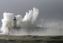 Certain types of bacteria and viruses are readily ejected into the atmosphere when waves break