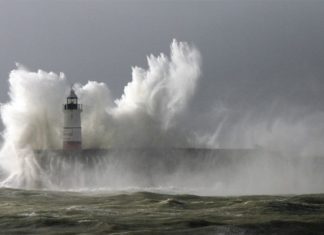 Certain types of bacteria and viruses are readily ejected into the atmosphere when waves break