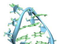 Colon cancer cells use mysterious RNA strands to avoid cell death