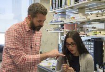 Even brief maternal deprivation early in life alters adult brain function and cognition