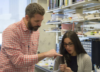 Even brief maternal deprivation early in life alters adult brain function and cognition
