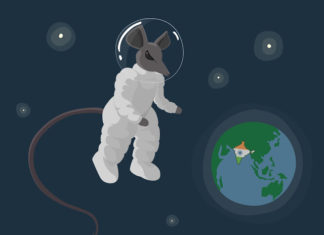 GravityRAT malware targets users in India