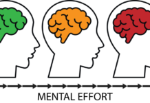 How the Brain Decides to Make an Effort