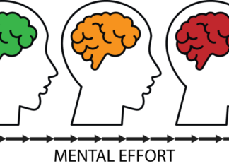 How the Brain Decides to Make an Effort