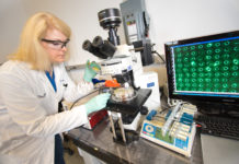 New blood test rapidly detects signs of pancreatic cancer