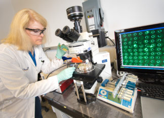 New blood test rapidly detects signs of pancreatic cancer